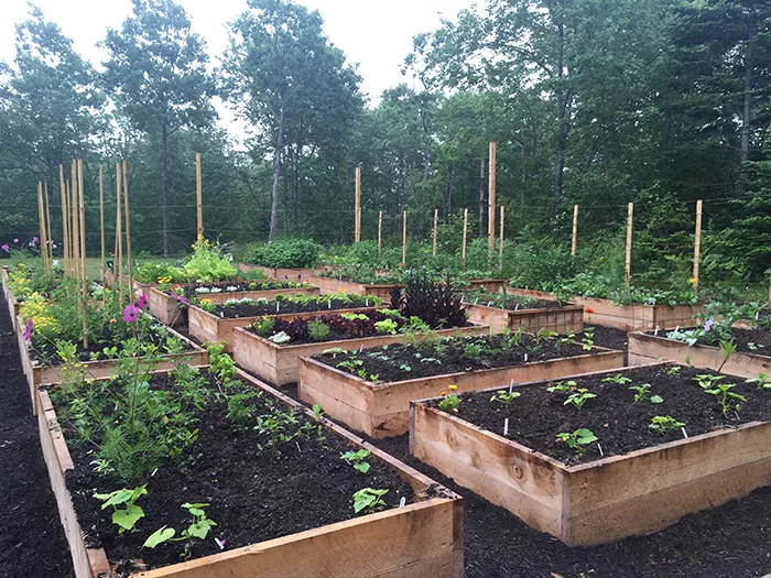 Nik Jabbour's current vegetable garden relies on raised beds, which she prefers for their convenience and season-lengthening abilities. Photo courtesy of Niki Jabbour.