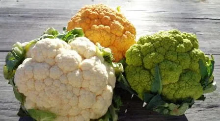 Consider Color When Planning Your Vegetable Garden