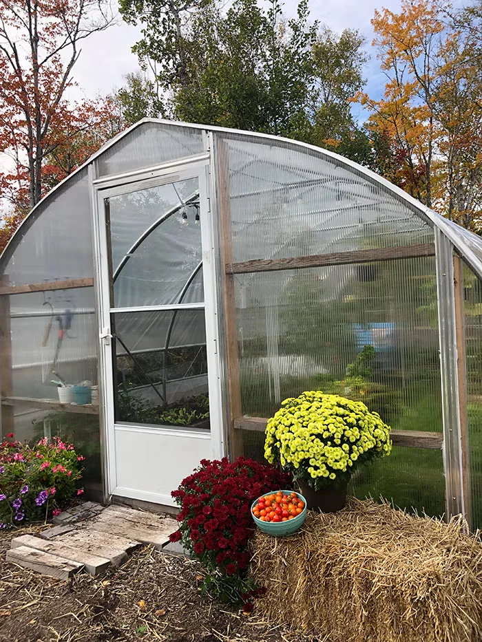 Niki Jabbour's polytunnel gives her a sizable space for year-round vegetable gardening. Durable in harsh weather, it was more budget-friendly than a greenhouse. Photo by Niki Jabbour.
