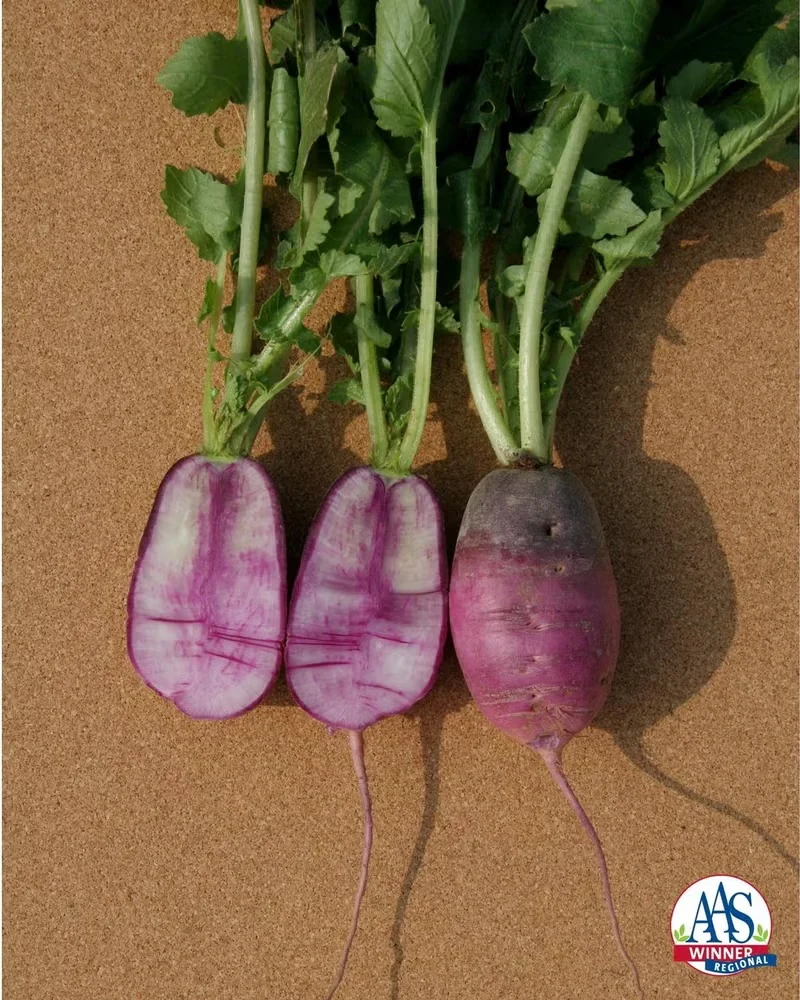 Edible Spotlight: Sweet Baby Radish