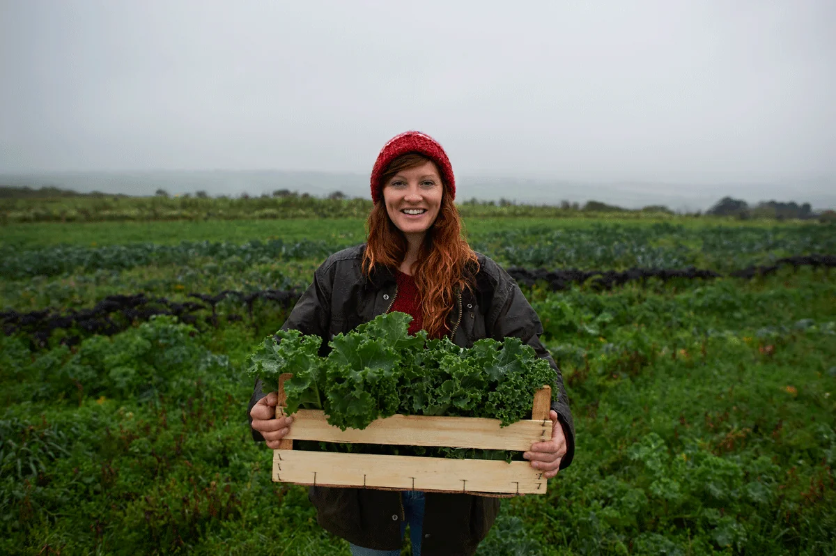 Fall Veggies to Plant: Tips from an Expert Gardener