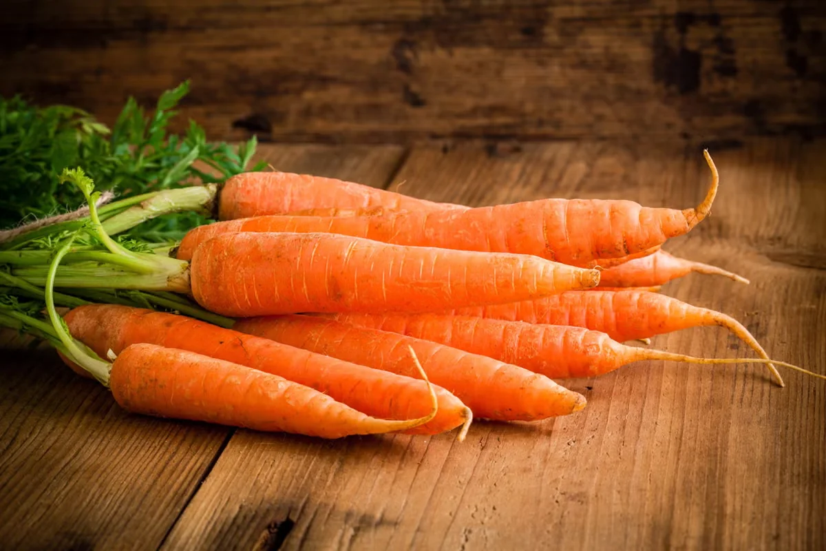 Growing Cool-Season Edible
