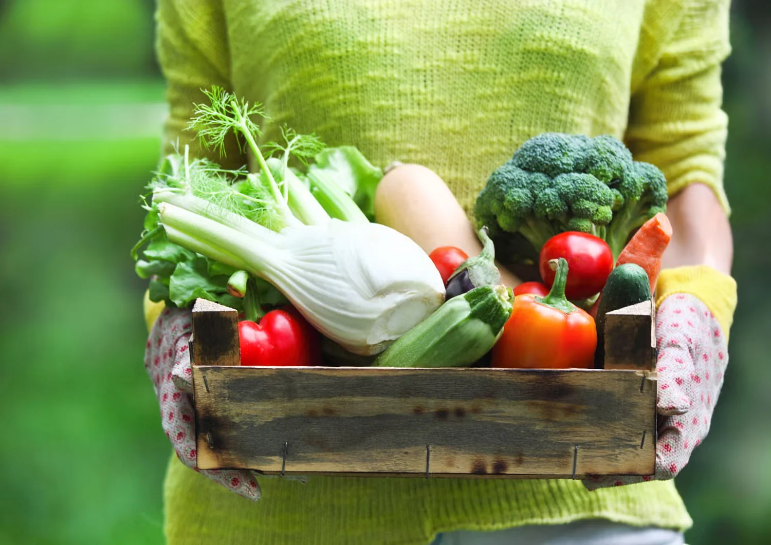 Planning the Spring Edible Garden
