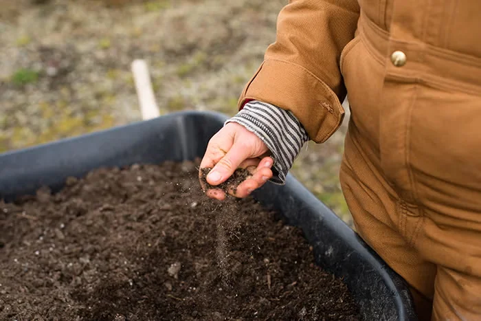 Simple Ways to Build Better Soil and Fight Climate Change