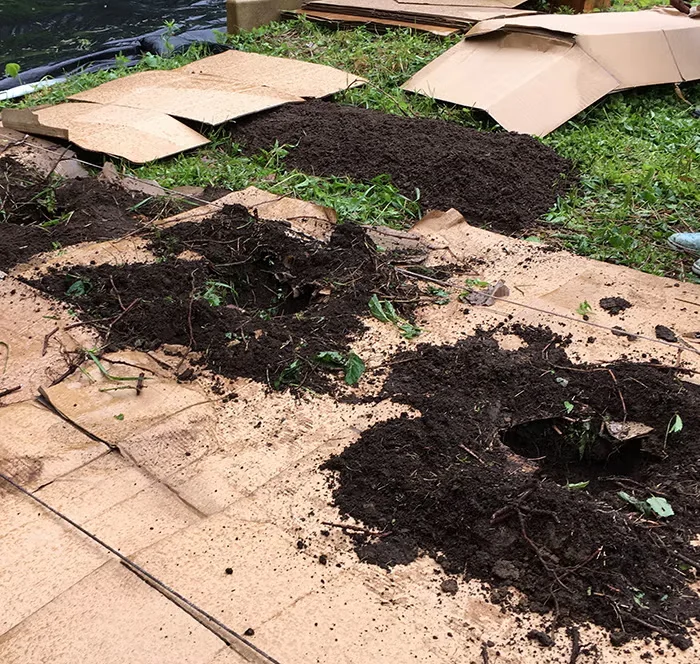 At Seeds of Solidarity Farm and Education Center, cardboard is used to suppress weeds, conserve moisture and build soil as worms and other organisms break the material down.