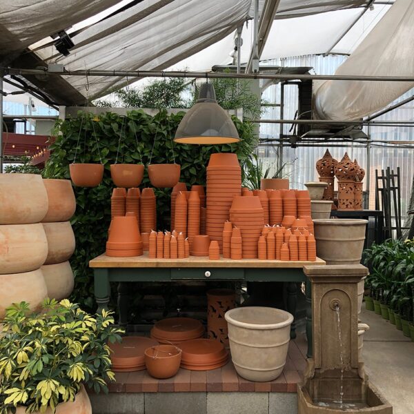 Clay Pots for Plants: A Timeless Classic