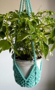 **Crochet Plant Hangers: A Modern Way to Add Greenery to Your Home**