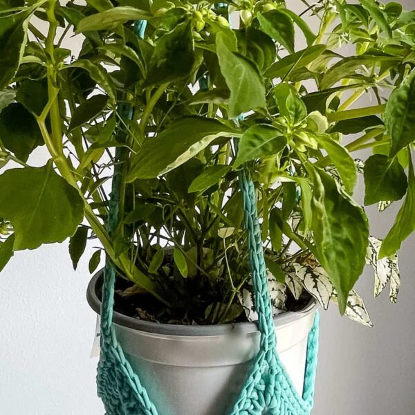 Crochet Plant Hangers: A Modern Way to Add Greenery to Your Home