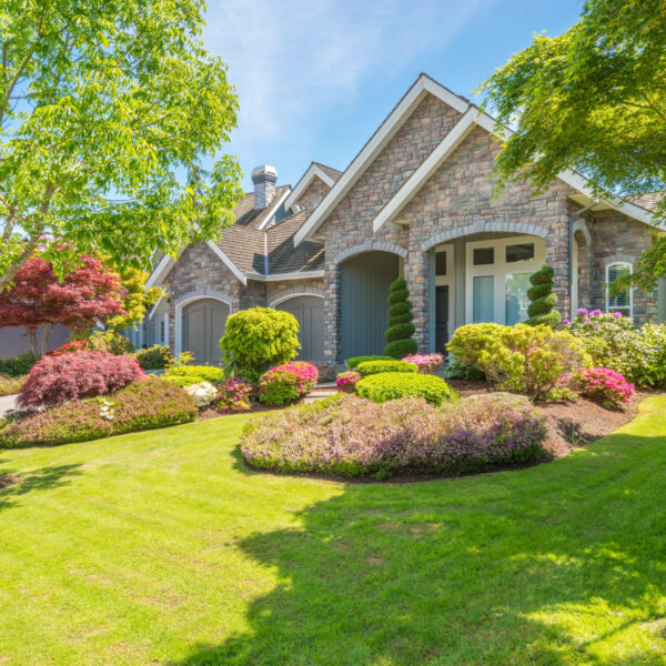 Curb Appeal: Best Shrubs for the Front of Your House