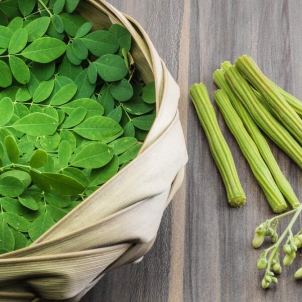 Discover the Powerful Health Benefits of Moringa Leaves