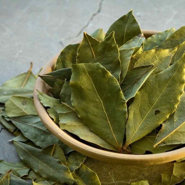 Discover the Secret Benefits of the Mighty Bay Leaf Tree 