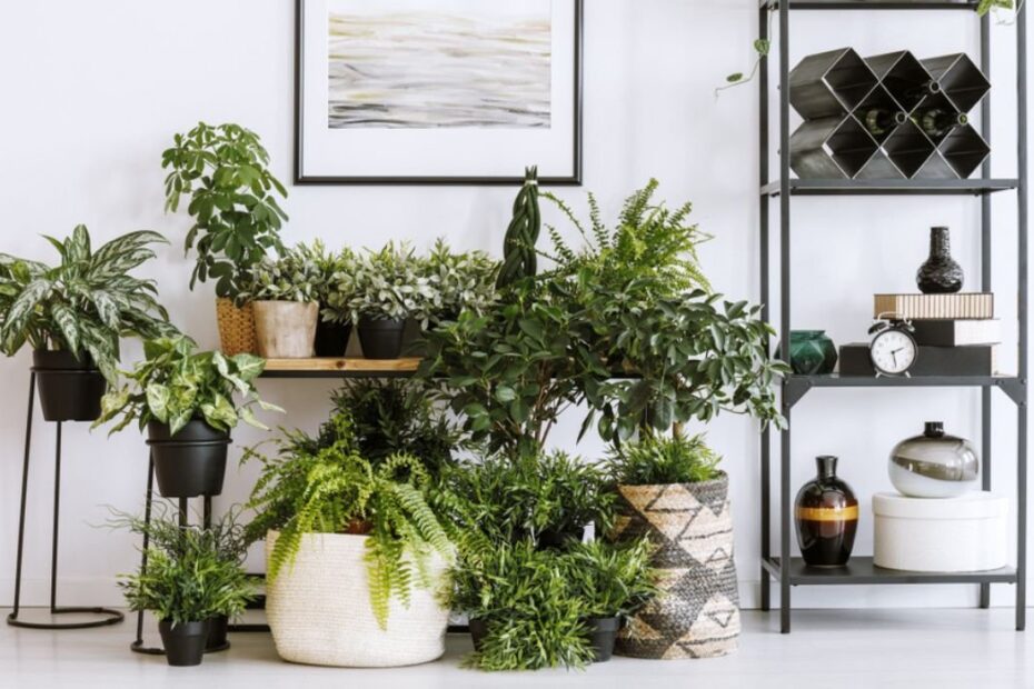 **Indoor Plant Stands: Elevate Your Home Decor**