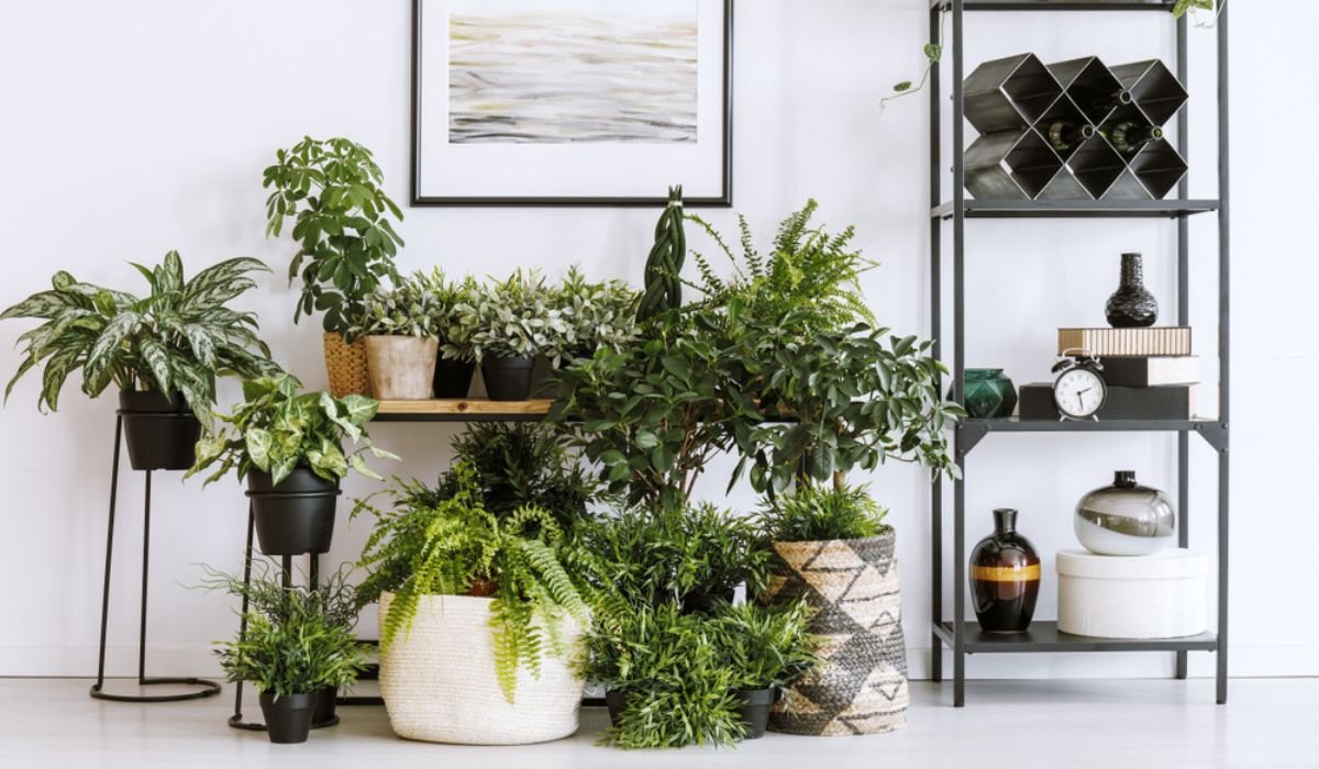 **Indoor Plant Stands: Elevate Your Home Decor**