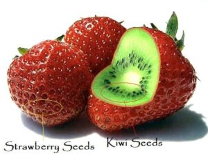 Kiwi Strawberries: Real Or Not? The Truth Revealed