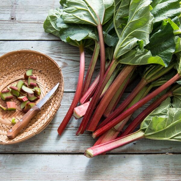 Unveiling the Truth: Are Rhubarb Leaves Toxic? 