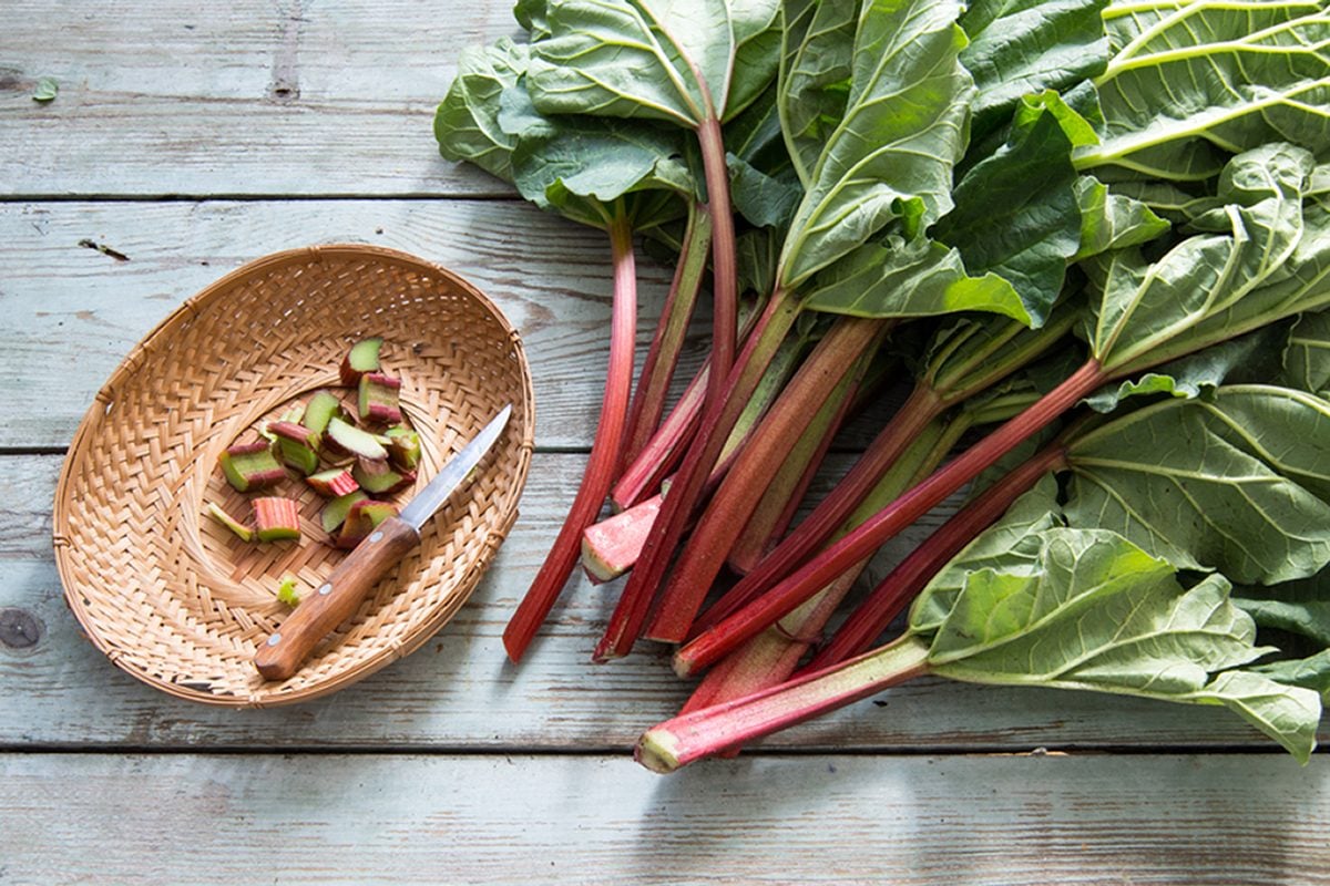 Unveiling the Truth: Are Rhubarb Leaves Toxic? 🌿