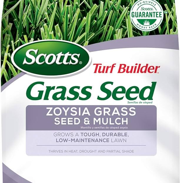 **Zoysia Grass Seed: A Low-Maintenance, Durable Option**